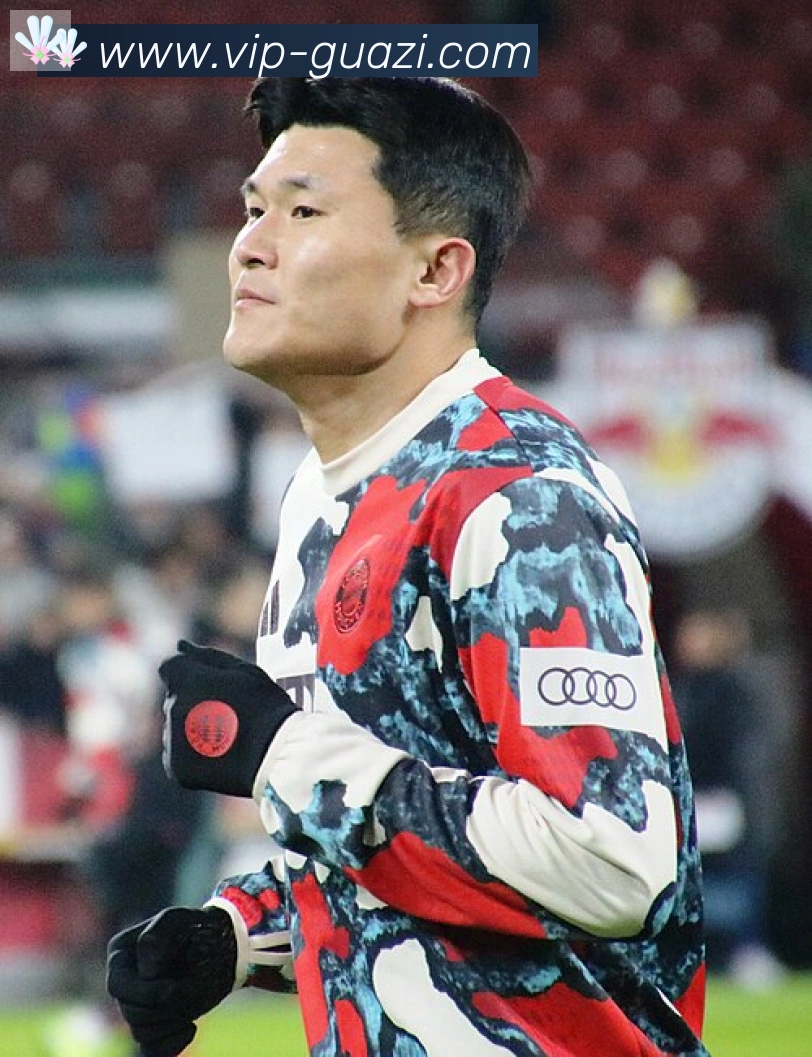 维尼修斯